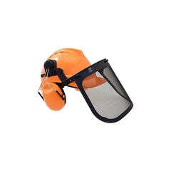 Helmet with visor and ear defenders